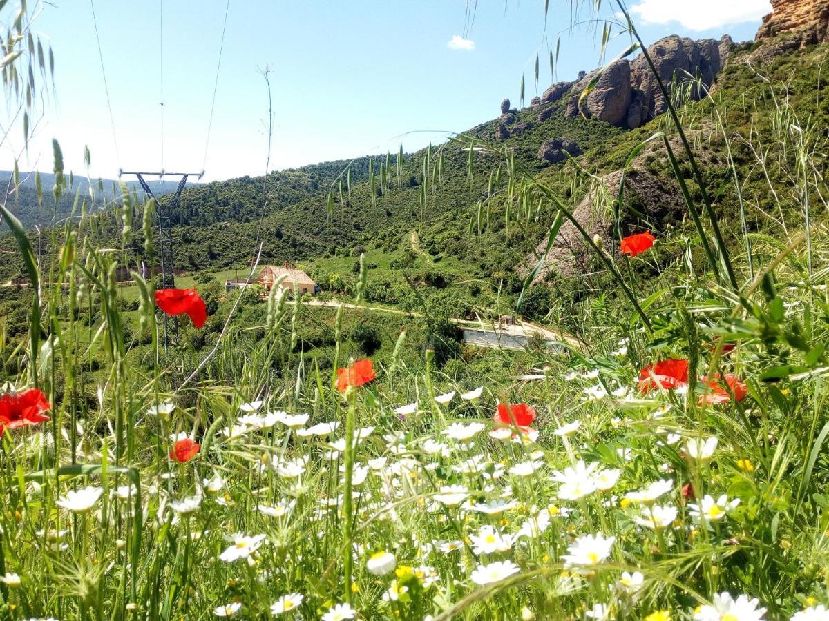 Villa Garibaldi Agüero Εξωτερικό φωτογραφία